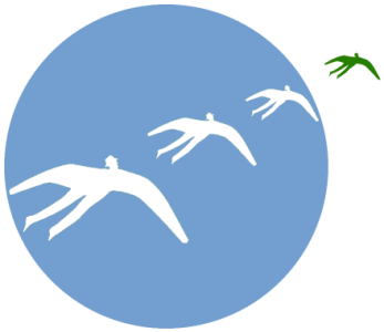 V O L V E R Motodeltas